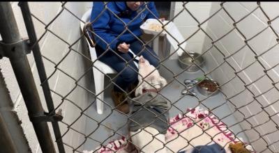 Melissa “Missy” Kidwell feeding a dog with a spoon in a kennel