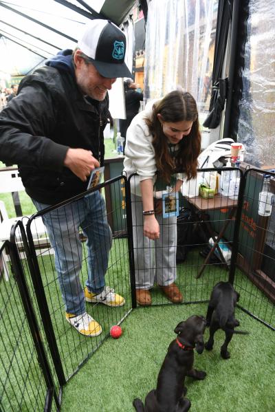Jon Kopaloff and Vivien Killilea looking at puppies in a pen at the movie premier of 'Arthur the King'