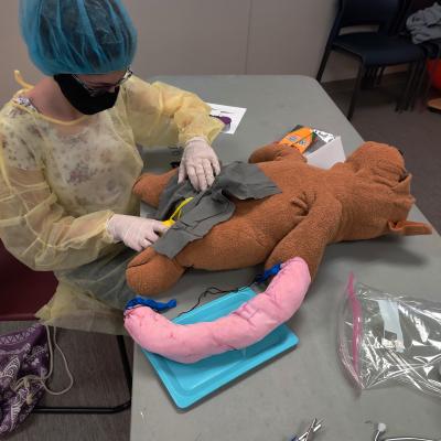 Person in protective clothing "performing" a medical operation on a stuffed animal