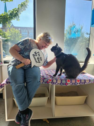 Maximus the cat with a person holding a sign that says, "I'm on my way home"