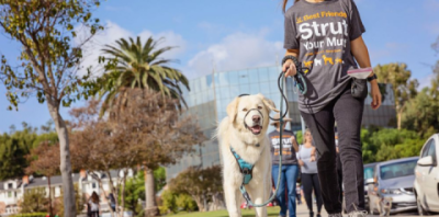 A person walking a dog during a fundraising event