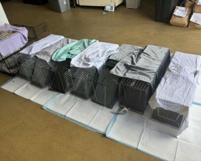 Line of covered humane traps with community cats in them