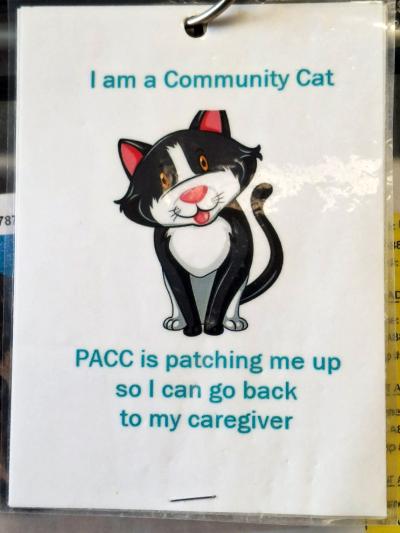 Sign on Buster's kennel that says, 'I am a community cat. PACC is patching me up so I can go back to my caregiver.'