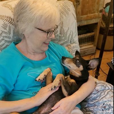 Sarge the dog being cradled in his adopter's lap