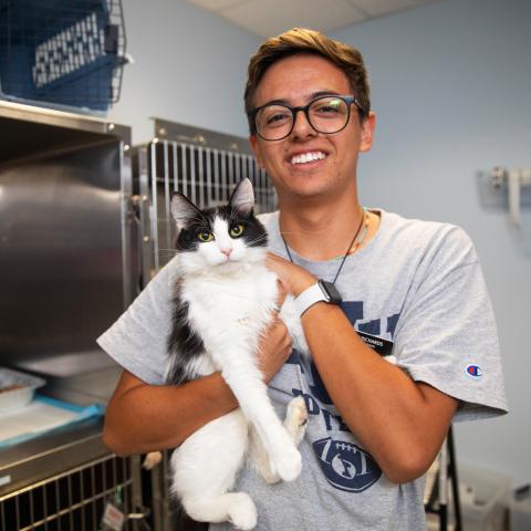 Smiling person holding a fluffy cat in a veterinary clinic