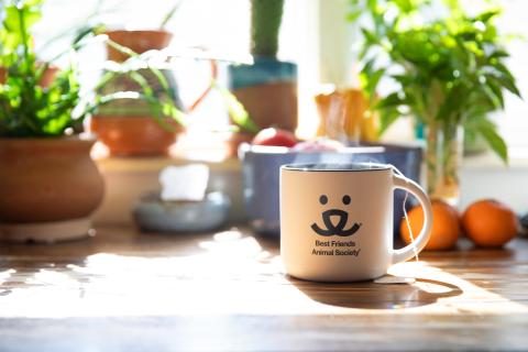 Best Friends mug with steam rising out of it on a table top
