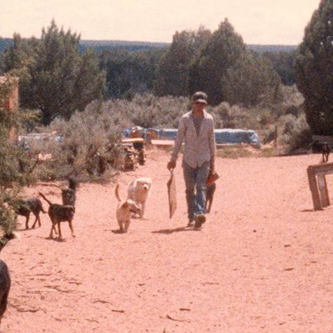 Tyson Horn walking outside with dogs