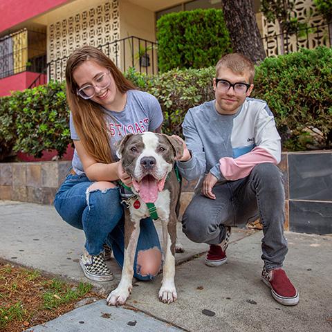 Two people outside on a sidewalk with a gray and white pit-bull-type dog whose tongue is out