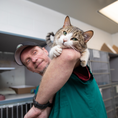 Man with cat resting on his elbow 