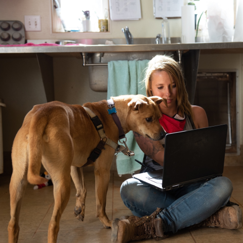 Woman sitting on the floor with a laptop, her dog looking at the laptop too.