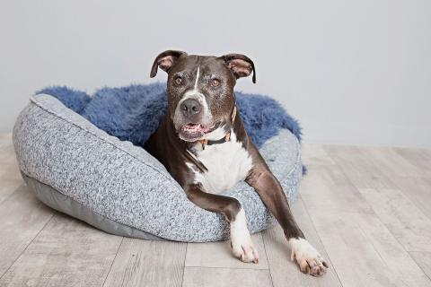 meta description image