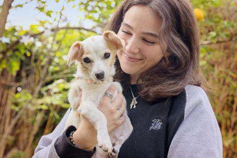 meta description image