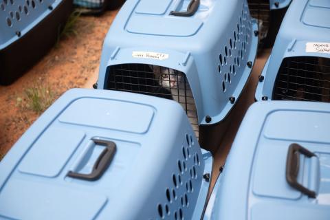 meta description image