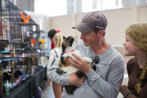 meta description image