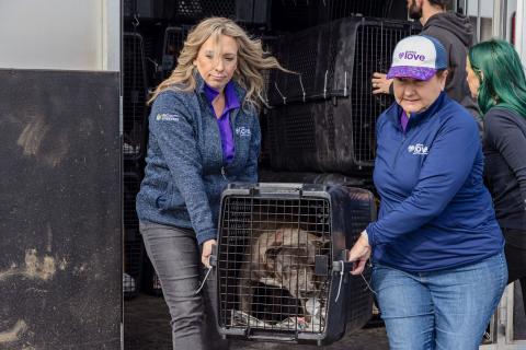 meta description image