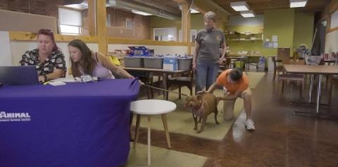 Two women sitting at table looking at computer while one holds dog on leash