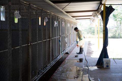 meta description image