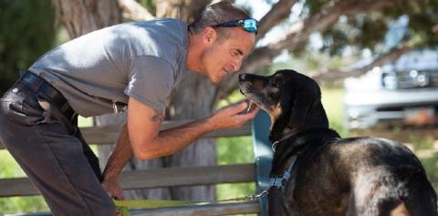Man in gray shirt and dark pants bending down to look into black dog's eyes