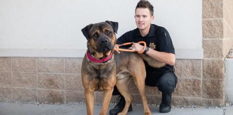 Animal Control Officer sitting outside with big black and brown dog
