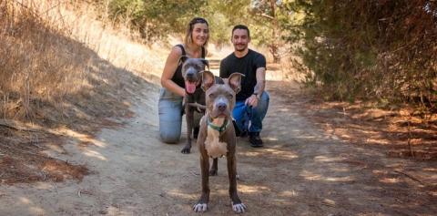 Couple kneeling on trail with two dogs in front