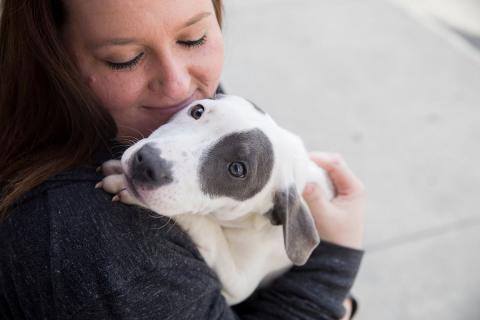 meta description image