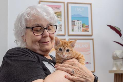 meta description image