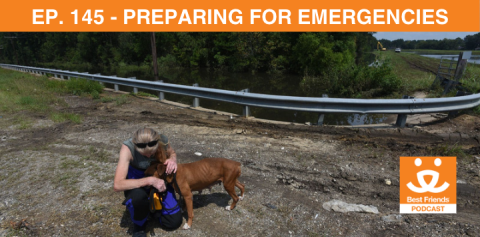 A person rescuing a dog during the aftermath of a natural disaster