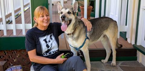 German shepherd standing on porch next to woman in black no kill shirt sitting down