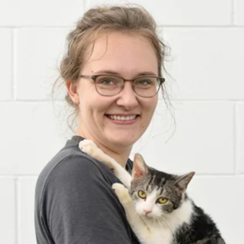 Emory Groenveld