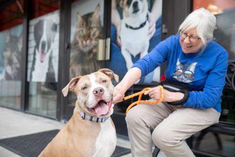 meta description image