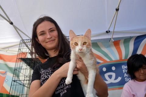 meta description image