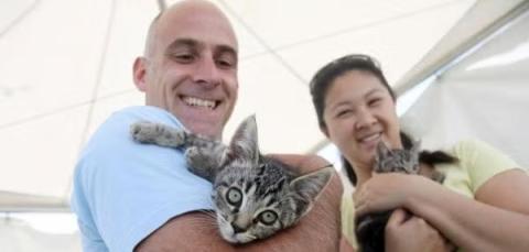 Two smiling people holding two tabby kittens