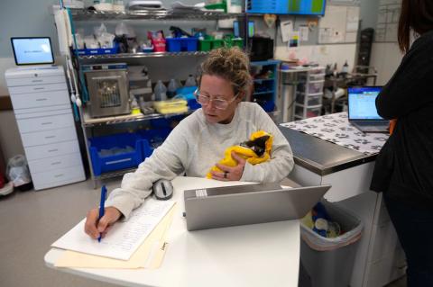 meta description image