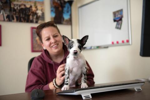 Woman with a small dog standing on her keyboard