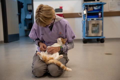 meta description image