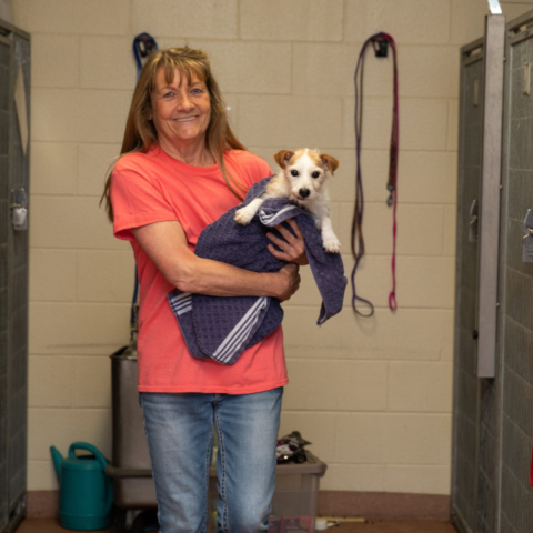Woman in orange t-shirt holding a white and brown puppy
