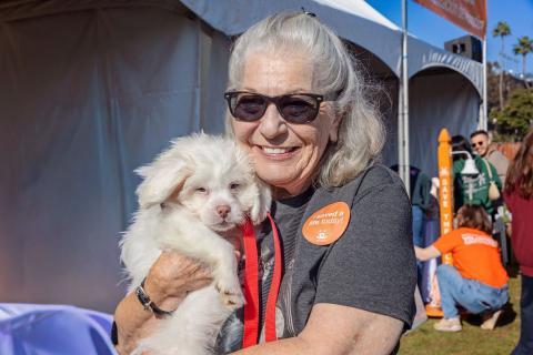 meta description image