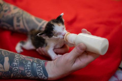 meta description image