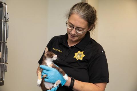 meta description image