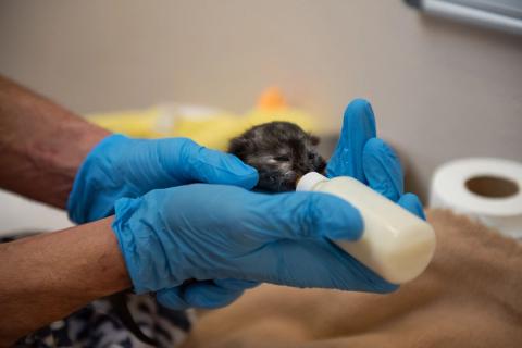 meta description image