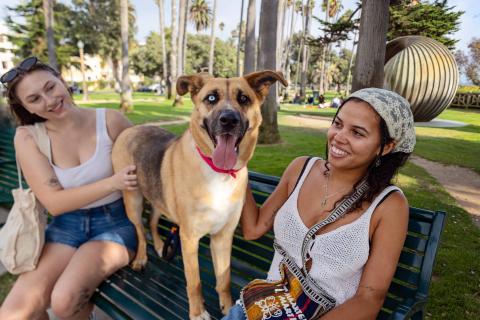 Two people sitting on an outside bench with a dog