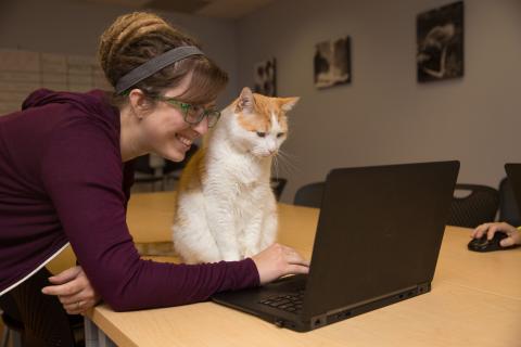woman and cat looking at computer