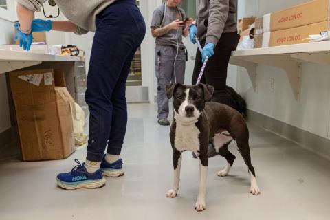 meta description image