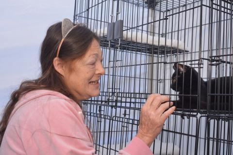 A woman in pink cat ears gently greets a kitten through its kennel at a community adoption event.