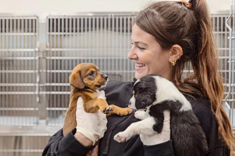Smiling shelter staff holding up two puppies, standing in front of empty cages.