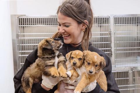 meta description image