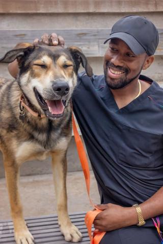 meta description image