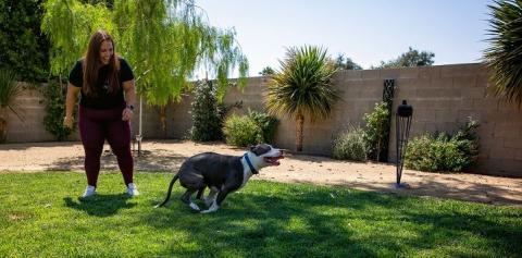 Gray and white pit bull type dog taking off running with woman standing behind
