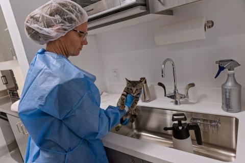 meta description image