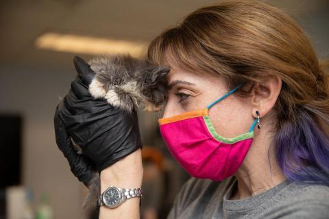 meta description image